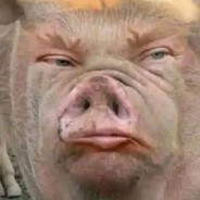 Дилда Бэггинс