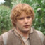 Samwise Gamgee