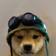 łɐqǝɾ̣ ǝı̣ɔ sǝı̣Ԁ