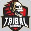 tribal.z3w^ wtfskins.com