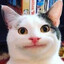 Njosber