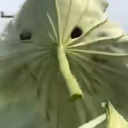 ДЖЕК_ПОДРОЧИТЕЛЬ