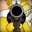 Z.Homero_O'