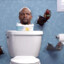 toiletjerry69 (sigma)