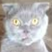 Кузя лакомкин