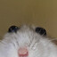 Joyful face