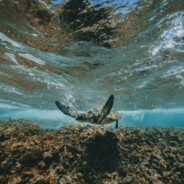 我都是用脚玩的