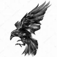 Raven