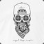 officialphNx [3]