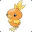 Torchic