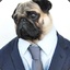 Pug Man