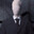 XxSlenderGuyxX avatar