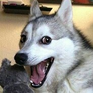 rapplkasten - steam id 76561197964480185