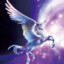 ♚ little pegaSuS &lt;3