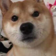123