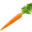 CARROT