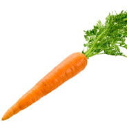 CARROT