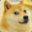 Dogedameme