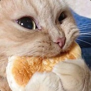 国服首席摇头大师