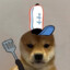 BOB