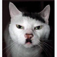 Jeffrey epstein