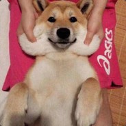 交通警察周星星