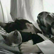 大明战神-朱祁镇