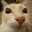 asiatico