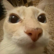 asiatico