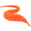 worm?