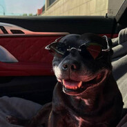 911 - steam id 76561199705656751