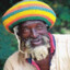 Rastaman