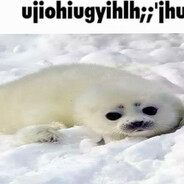 seal's avatar