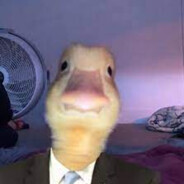 zyfor777 avatar