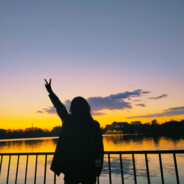 别骂我，我真不会