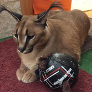 Der Wüstenfuggs :DDD