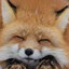 FluffedUpFox