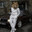 Джек Подрочитель
