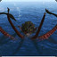 KCaRtKraken