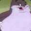 BIG CHUNGUS