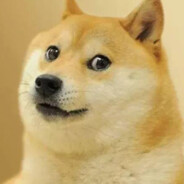 人帅枪刚的威猛先生