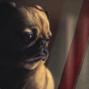 Contrace - steam id 76561197972710106