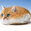 catbread