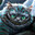 Savvy_Whiskers