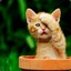 ♥♥♥КОТИК♠♠♠