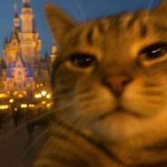 МОНИЦУ - steam id 76561199046852296