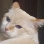 𝕄𝕠𝕋𝕪𝕒 Steam avatar
