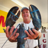 Local Lobster Thief
