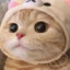 🧡Mewushi🧡