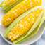 Tilledcorn